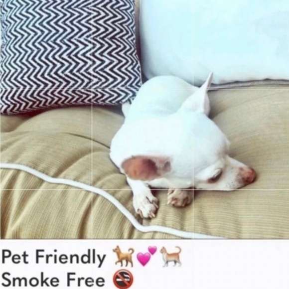 ⛵️ 5/$15 SALE! Betsey Johnson  fuchsia turquoise black plaid blanket scarf NWOT - Picture 9 of 9